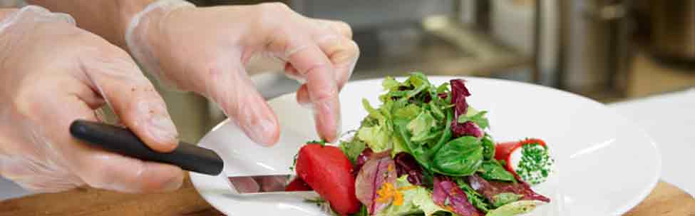 Vinyl food service category 975